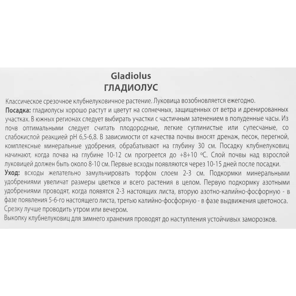 Гладиолус крупноцветковый Эдванс 3 шт. 83588518 STLM-2138643 ПОИСК  - Вид №2
