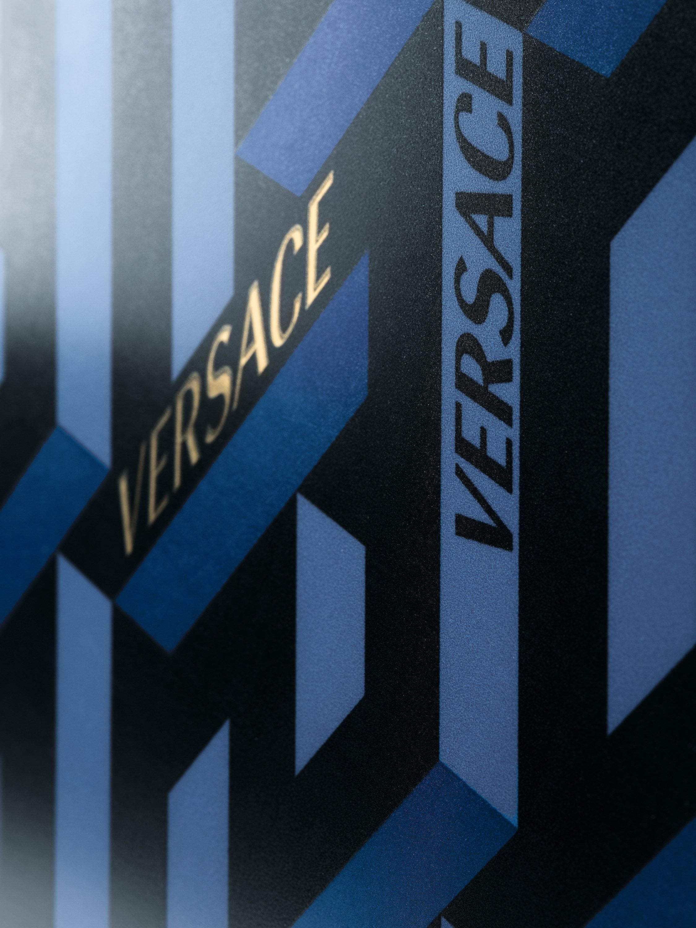 Облицовка керамогранита для интерьера Versace Ceramics Манифест ARCH-00079481 - Вид №2