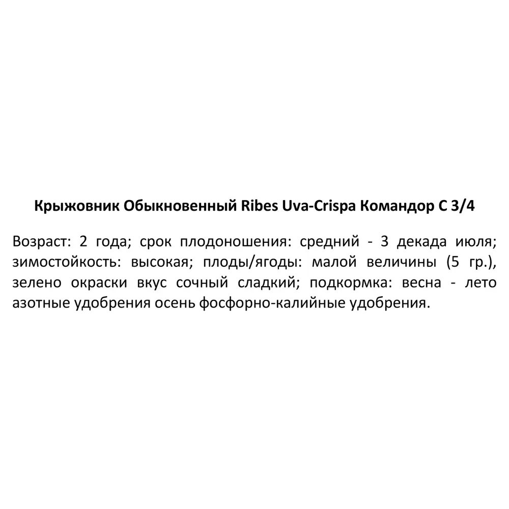 Крыжовник «Командор» С3-С4 81969352 STLM-2142645 PLANTMARKET  - Вид №2