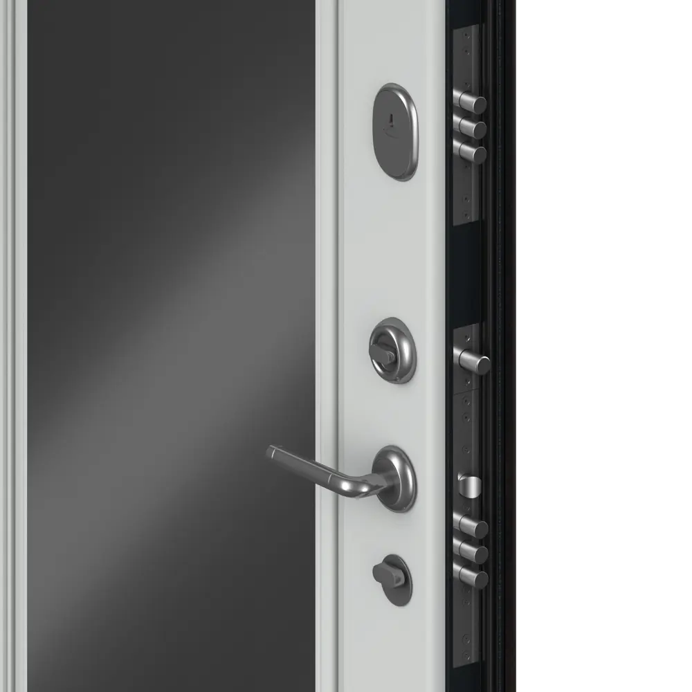 Дверь входная металлическая Премиум New 98x205 см левая белый с зеркалом DOORHAN STLM-2054127 - Вид №4