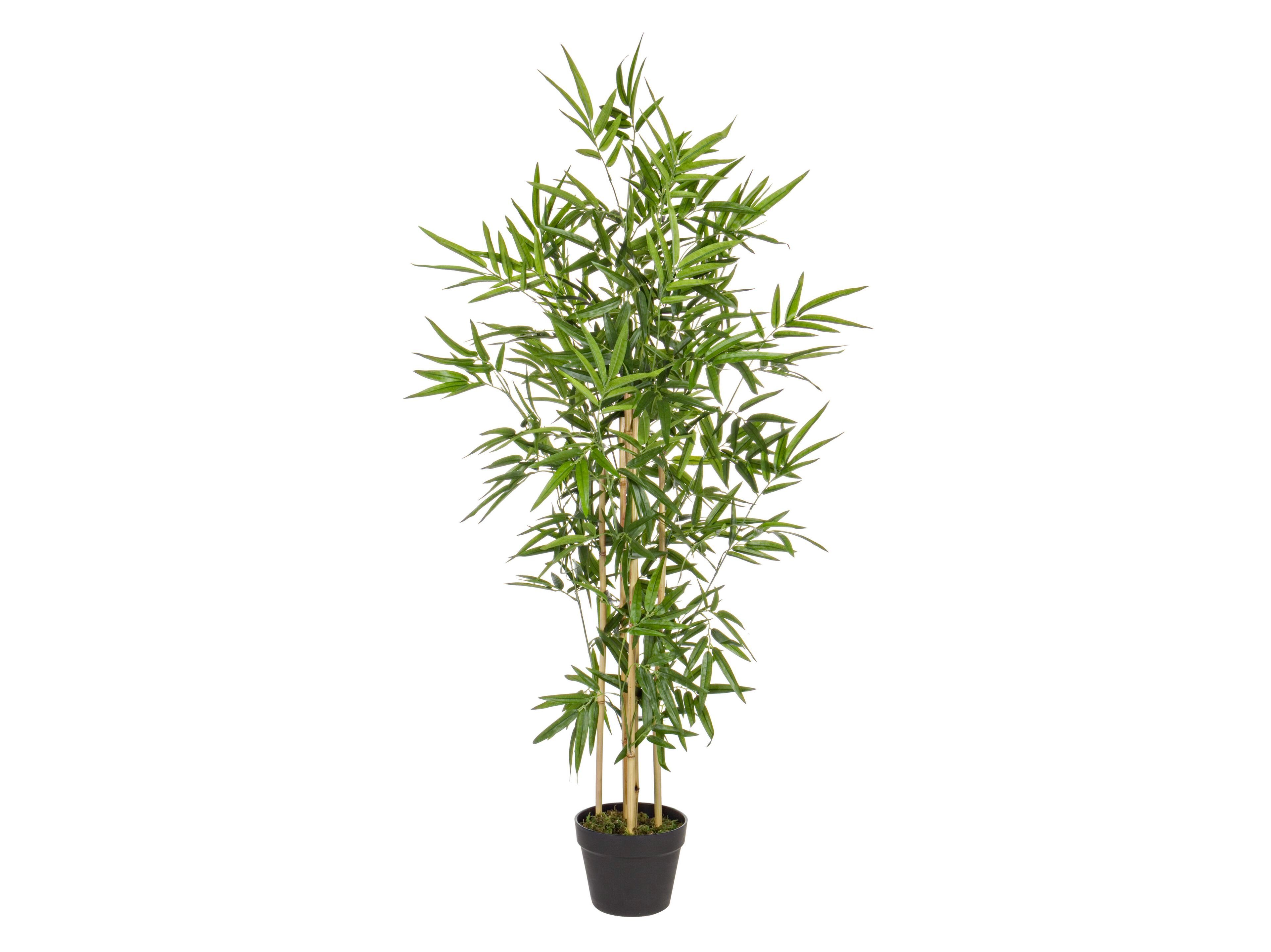 Искусственное растение BIZZOTTO BAMBOO H130 ARCH-00039835