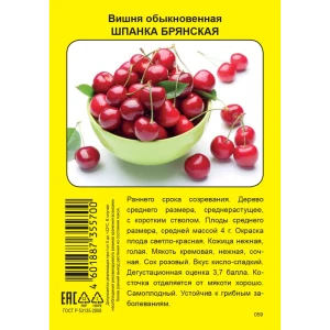 Вишня Шпанка Брянская 82150782 STLM-2201131