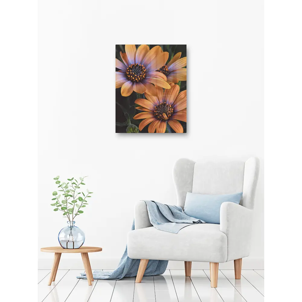 Картина на стекле Ромашки 40x50 см POSTERMARKET STLM-2123255 - Вид №3