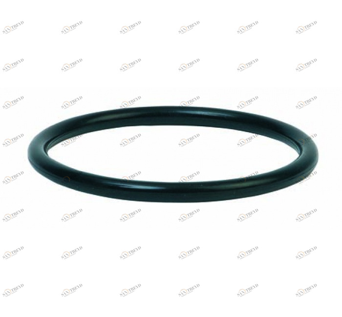 GENEBRE 0061 07 О'ринг 