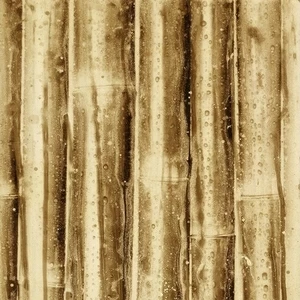 Арт-панель на холсте Alex Turco Organic Golden Bamboo