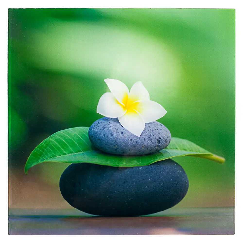 Стекло для светильника Dafne Zen WL-015-B INSPIRE STLM-2138683