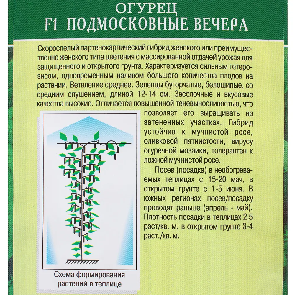 Огурец «Подмосковные вечера» F1 81932522 STLM-2109203 Santreyd  - Вид №2