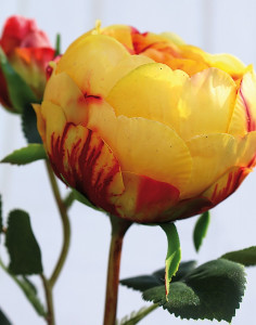 2592 306 a3 Искусственная роза, 1 цветок, 2 бутона, 60 см, real touch soft, желто-оранжевый H-andreas