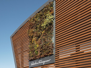 Композитные деревянные Frangisole