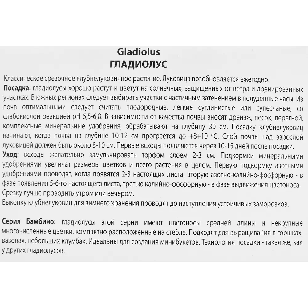 Гладиолус бамбино Веракс, 3 шт ПОИСК STLM-2087290 - Вид №2