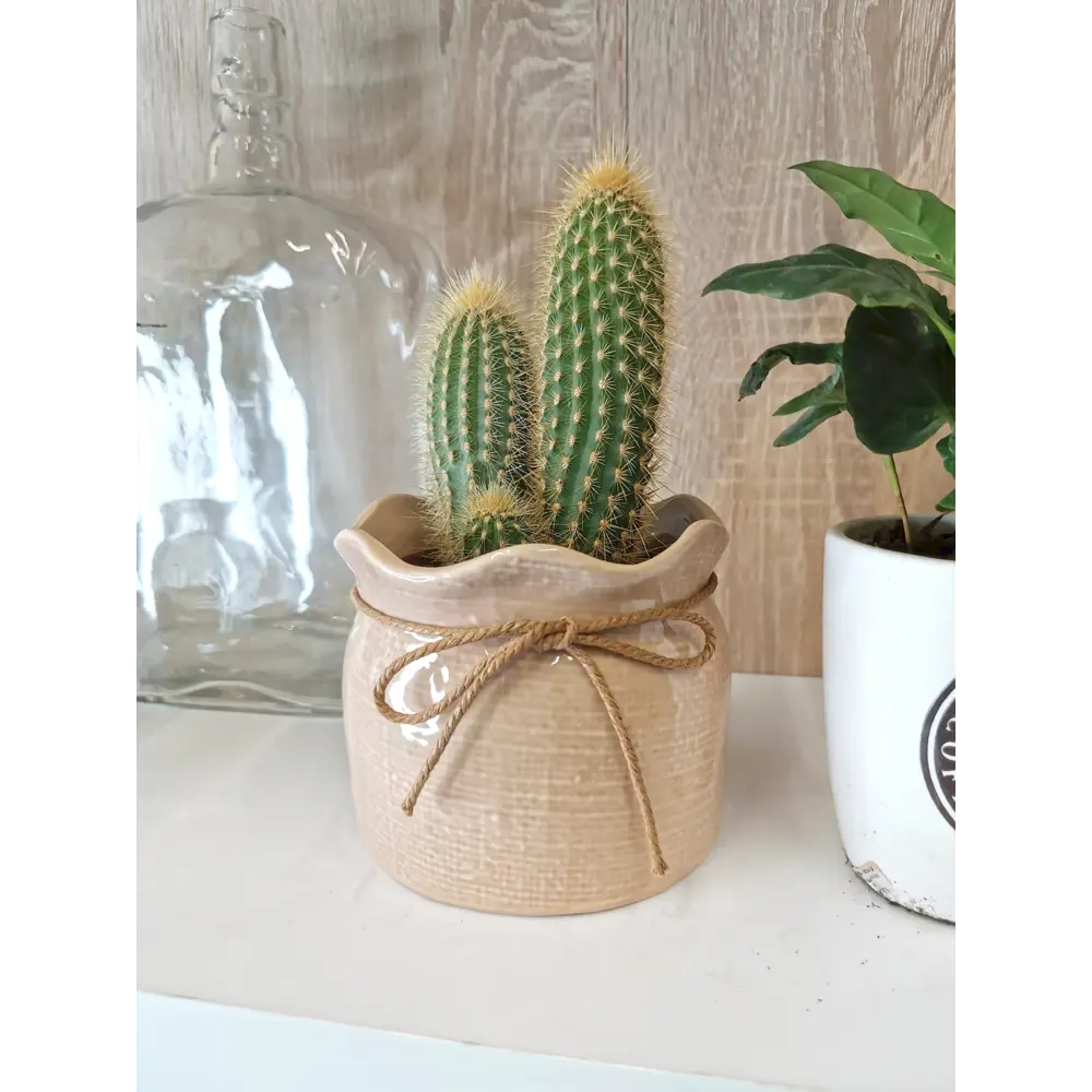 Кашпо-кактусник 9.5x9x12 см v0.6 л керамика бежевый GARDMAX STLM-2084724 - Вид №4