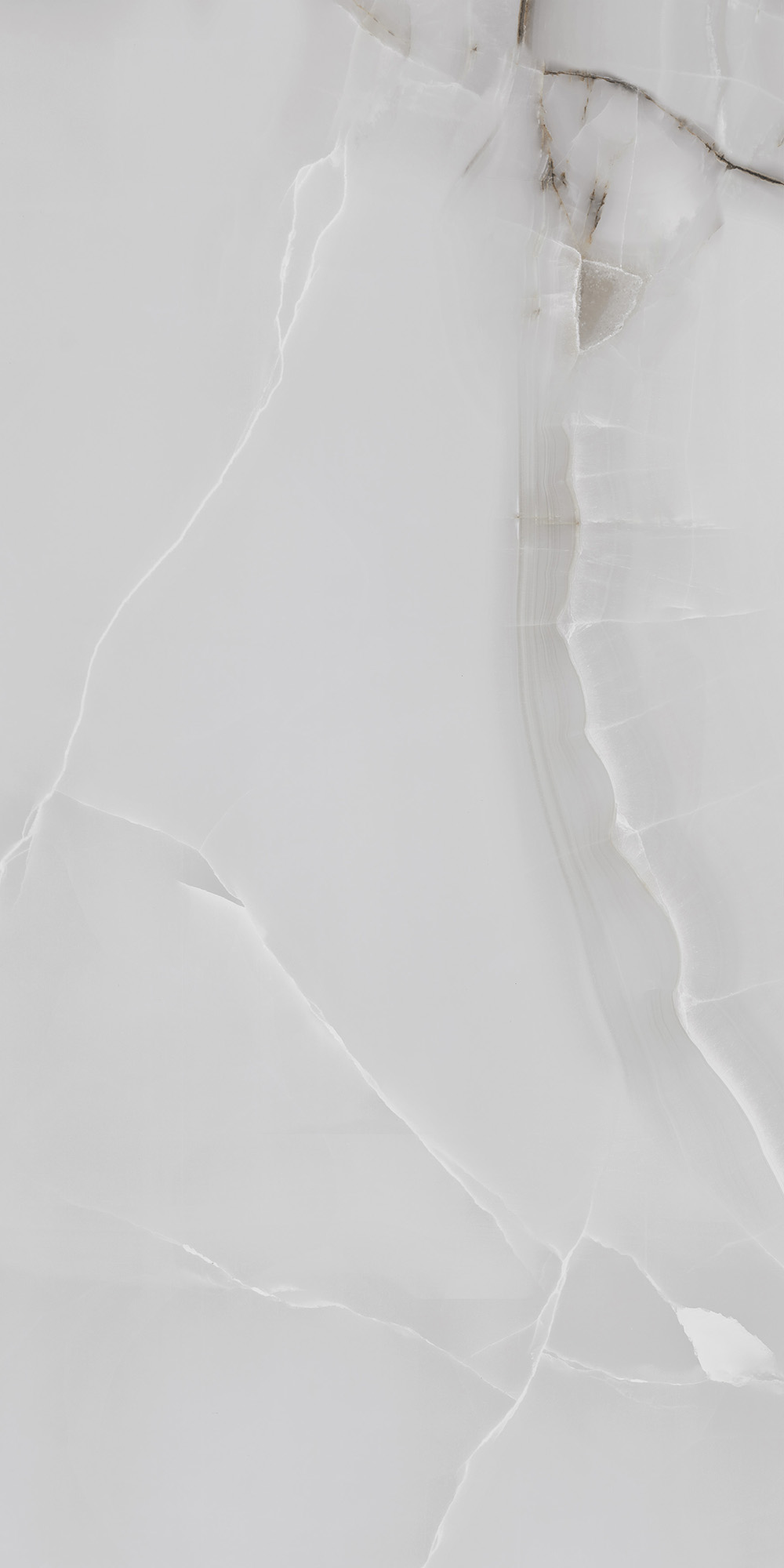 ONYX LINE GREY — Керамогранит с душой природы FP1025-A Arcadia Ceramica - Вид №10