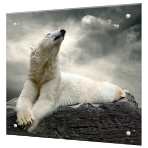 90675865 Защитный экран Белый медведь 60x60x0.4 см закаленное стекло цвет прозрачный STLM-0333967 BORNTOPRINT