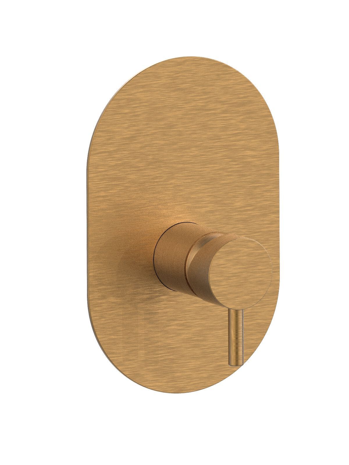 Встраиваемый однорычажный смеситель для душа Rubinetterie Frattini Pepe XL ARCH-00090578 - Вид №3