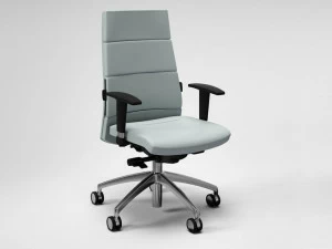 FANTONI Офисное кресло из кожи с 5-ю спицами и подлокотниками Seating system
