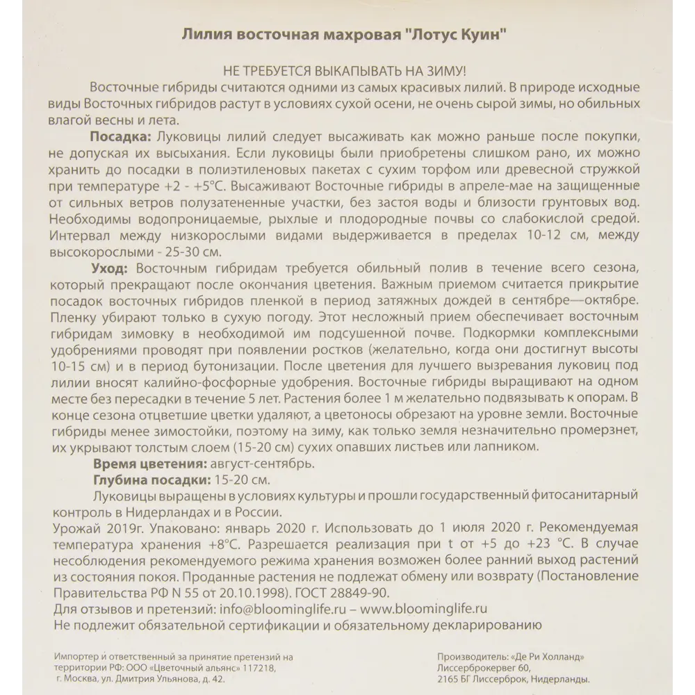 Лилия восточная махровая «Лотус Куин» BLOOMING LIFE STLM-2061838 - Вид №2