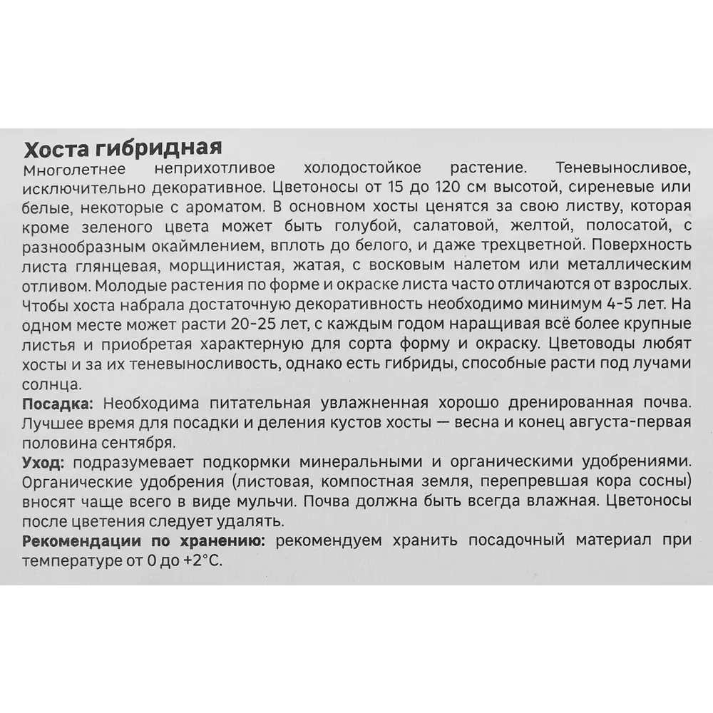 Хоста гибридная Антиох 86408581 STLM-2184720 Santreyd  - Вид №3