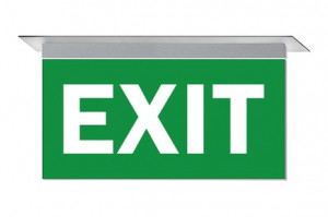 DST-1579 Ikus 320-m Daisalux Светильники сигнальные Серебристо-Серый