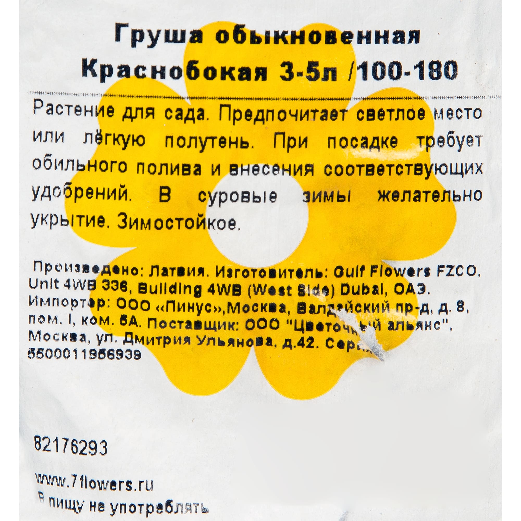 82176293 Груша обык «Краснобокая» 3-5 л 100-180 см Santreyd  - Вид №1