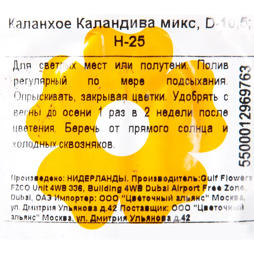 Каланхое Calandiva Mix 11х22см 12192863 STLM-2168993 Santreyd  - Вид №2