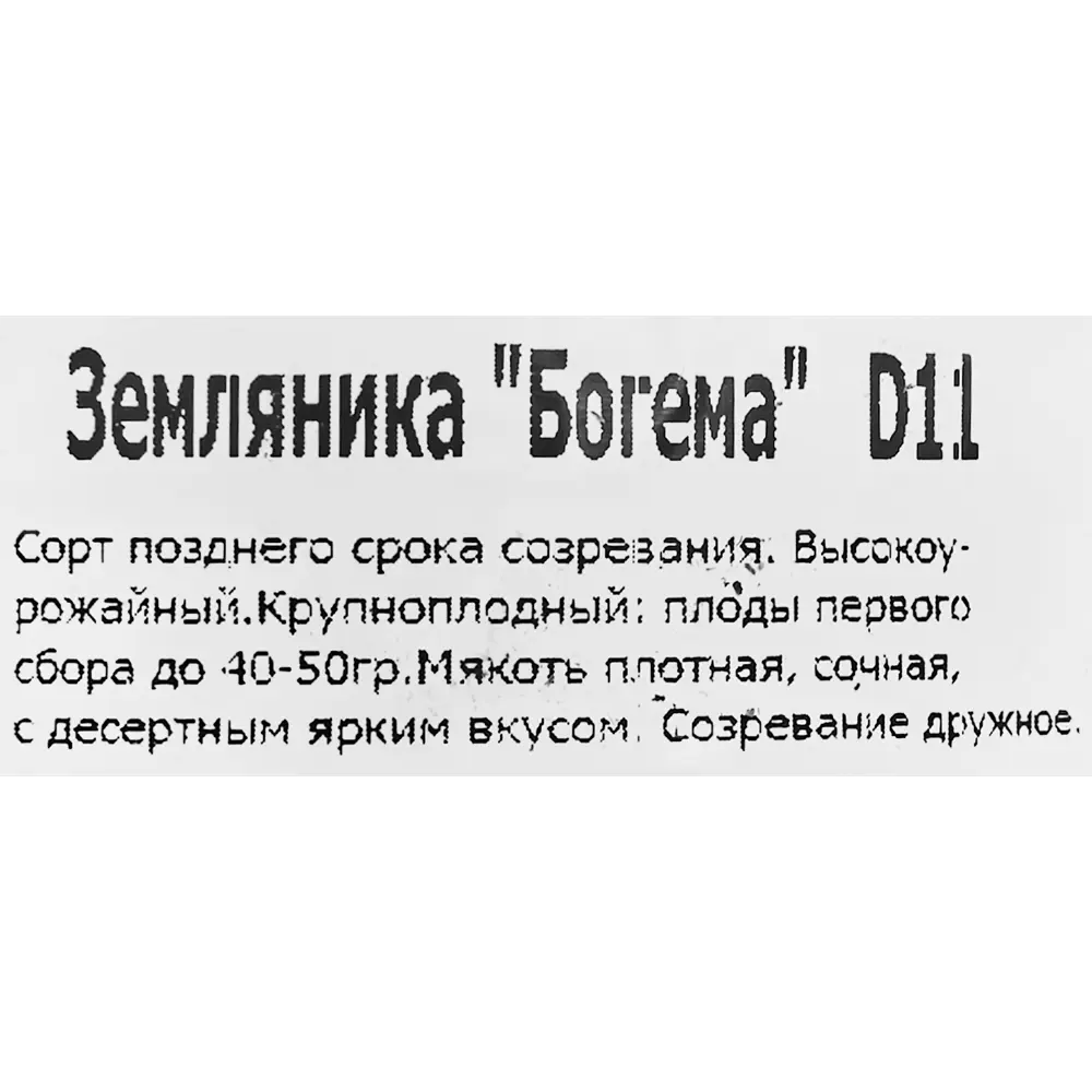 Земляника ремонтантная Богема 11x15 см 83597606 STLM-2092281 Santreyd  - Вид №1
