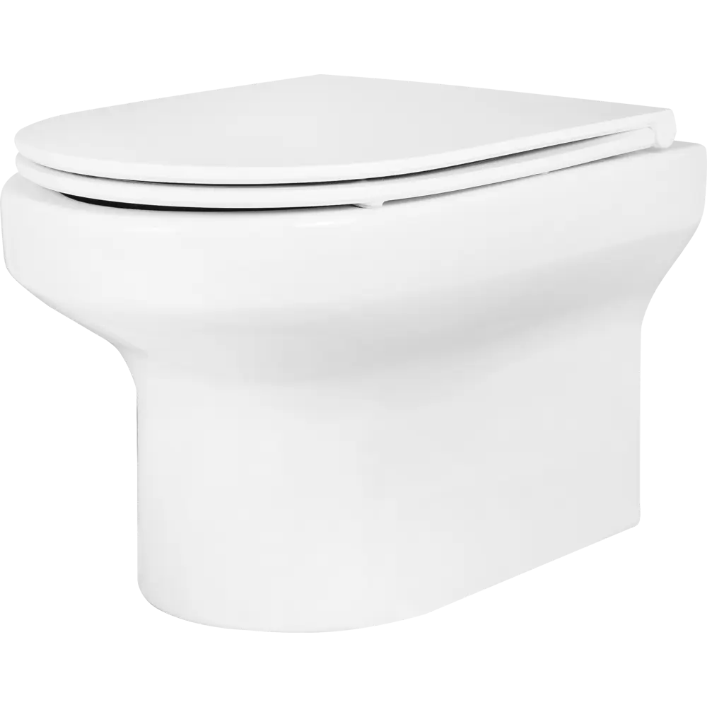 Унитаз подвесной Jacob Delafon Elite безободковый с сиденьем микролифт STLM-2145855