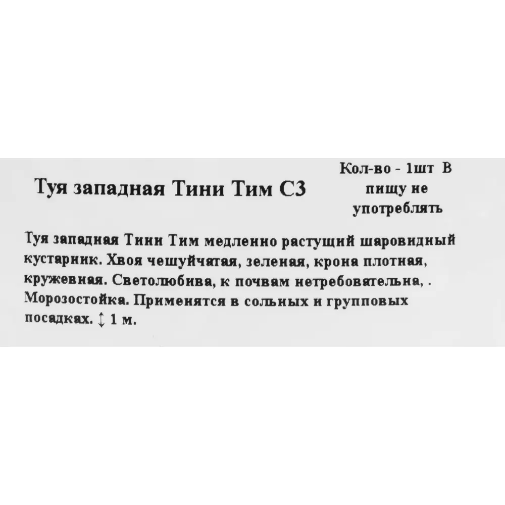 Туя западная «Тини Тим» 19x20 см ГАВРИШ STLM-2105621 - Вид №1
