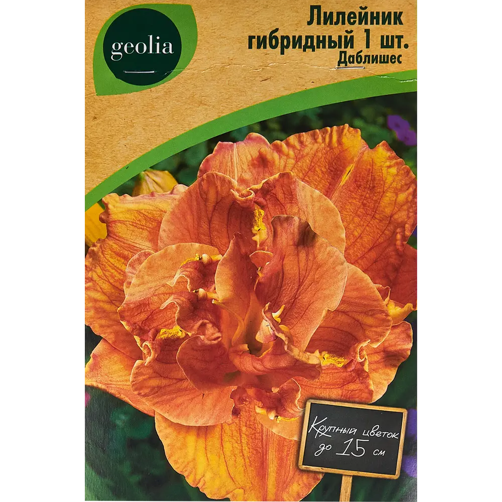 Лилейник Geolia гибридный Даблишес 86408693 STLM-2206569 