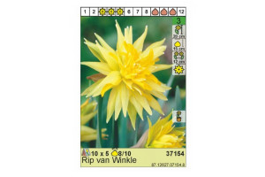 18441253 Луковица Нарцисс Рип ван Винкл 8/10 желтый, 5 шт. 37154 HBM