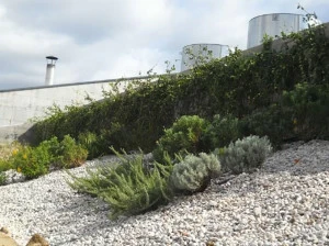 Perlite Italiana Система садовой крыши Perligarden®