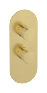 Комплект пластины и ручки Термостатическая виниловая односторонняя вертикальная эллиптическая пластина WE ARE IB eua112isnvn Brushed Pale Gold Aqua