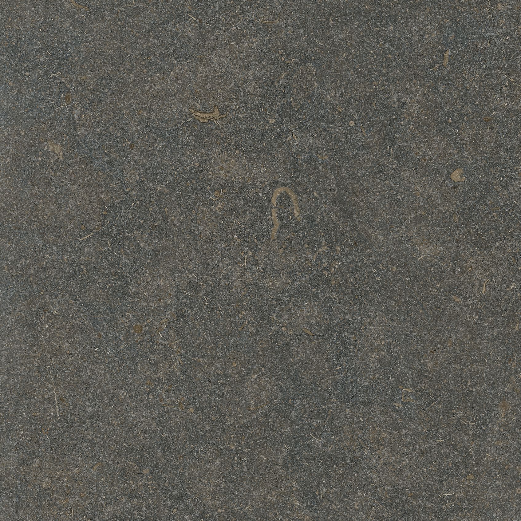 Экологичный пол/облицовка керамогранита Living Ceramics ODA ARCH-00129665 - Вид №6