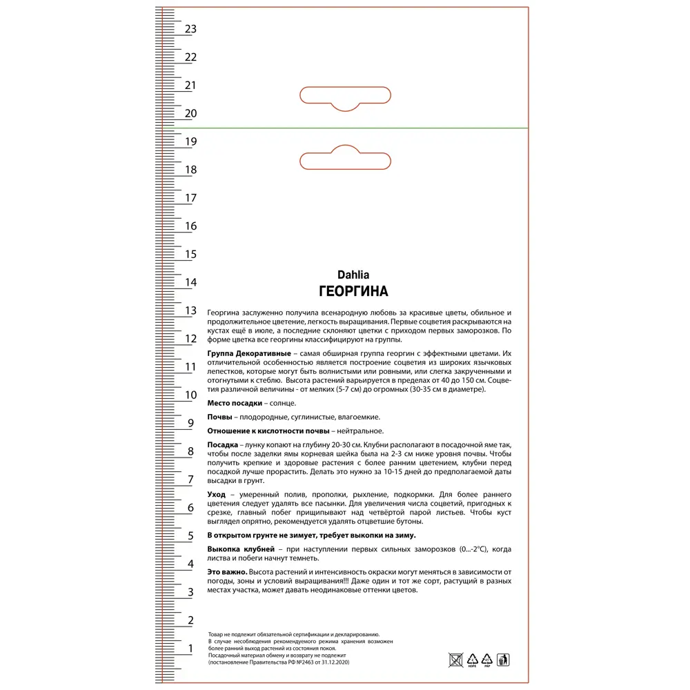 Георгина декоративная Принцесса Грация ПОИСК STLM-2061978