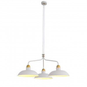 Подвесная люстра ST Luce Pietanza SL323.503.03