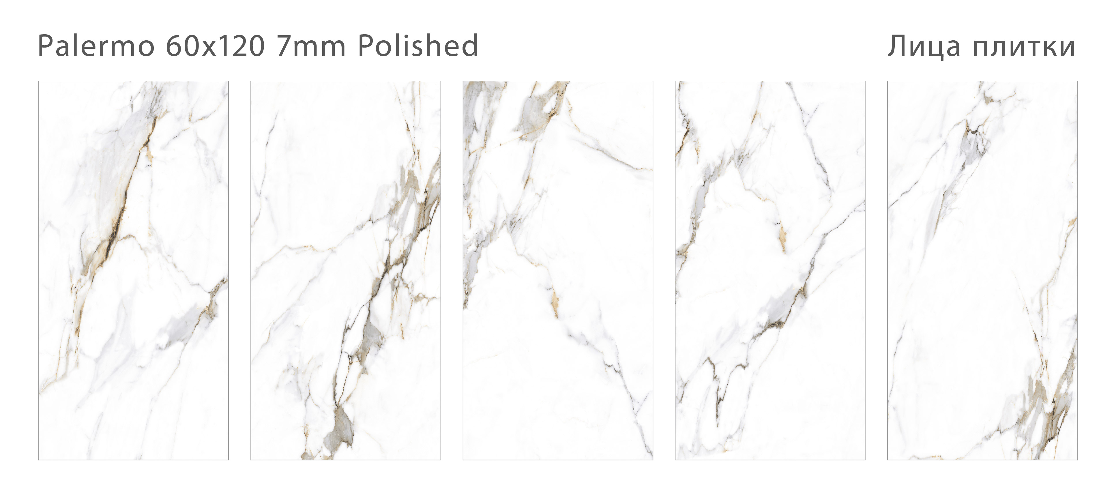 Элегантная плитка PALERMO: атмосфера современной классики STP-ST369 INCOLOR Modern - Вид №1