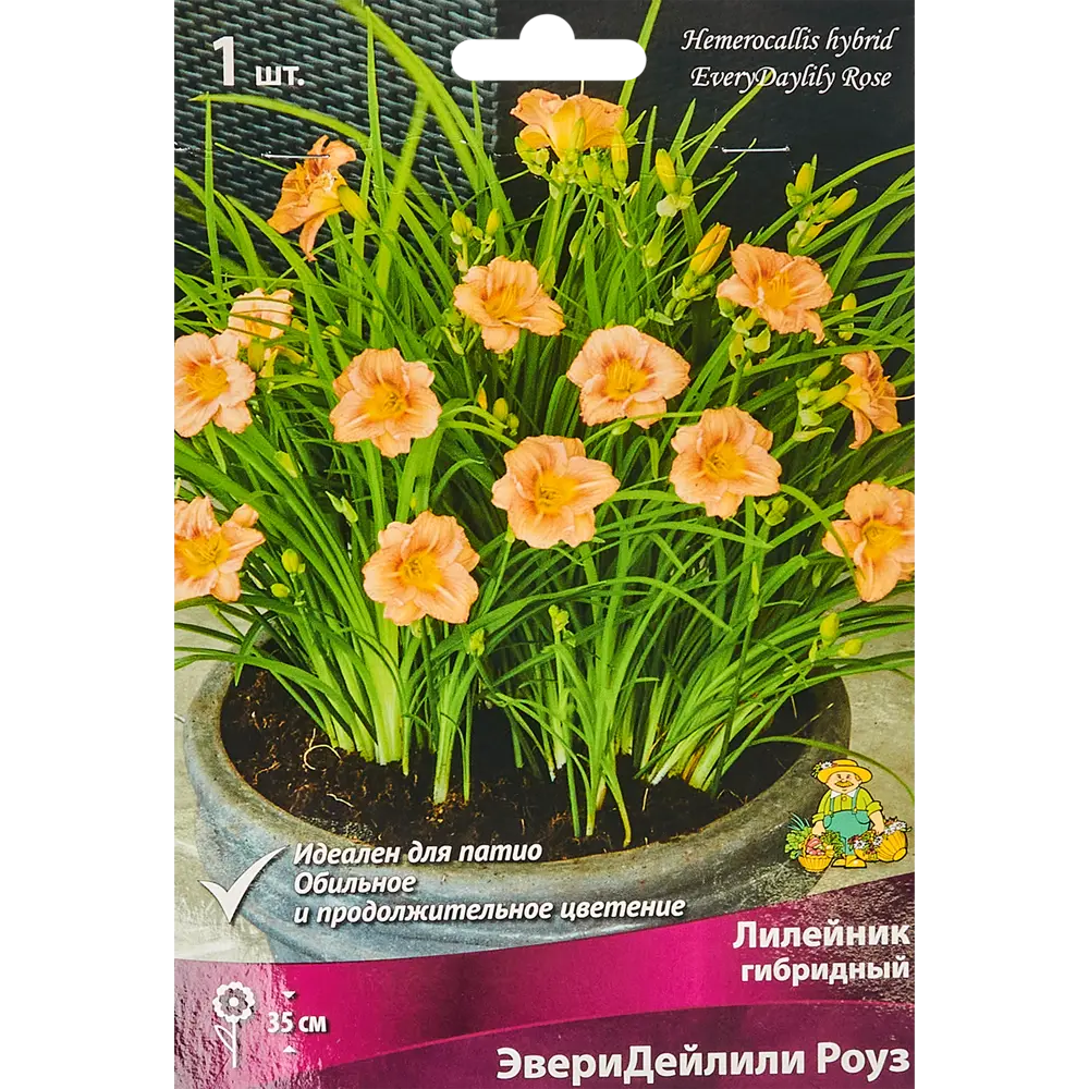 Лилейник гибридный ЭвериДейлили Роуз 86410477 STLM-2035395 ПОИСК 