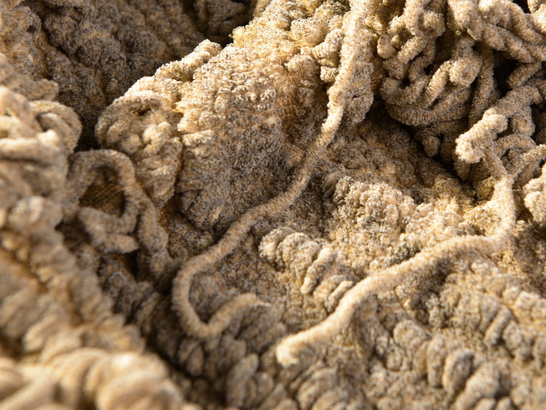 Полиэстер и хлопок ткань The House of Lyria CARRUBO ARCH-00051347 - Вид №1