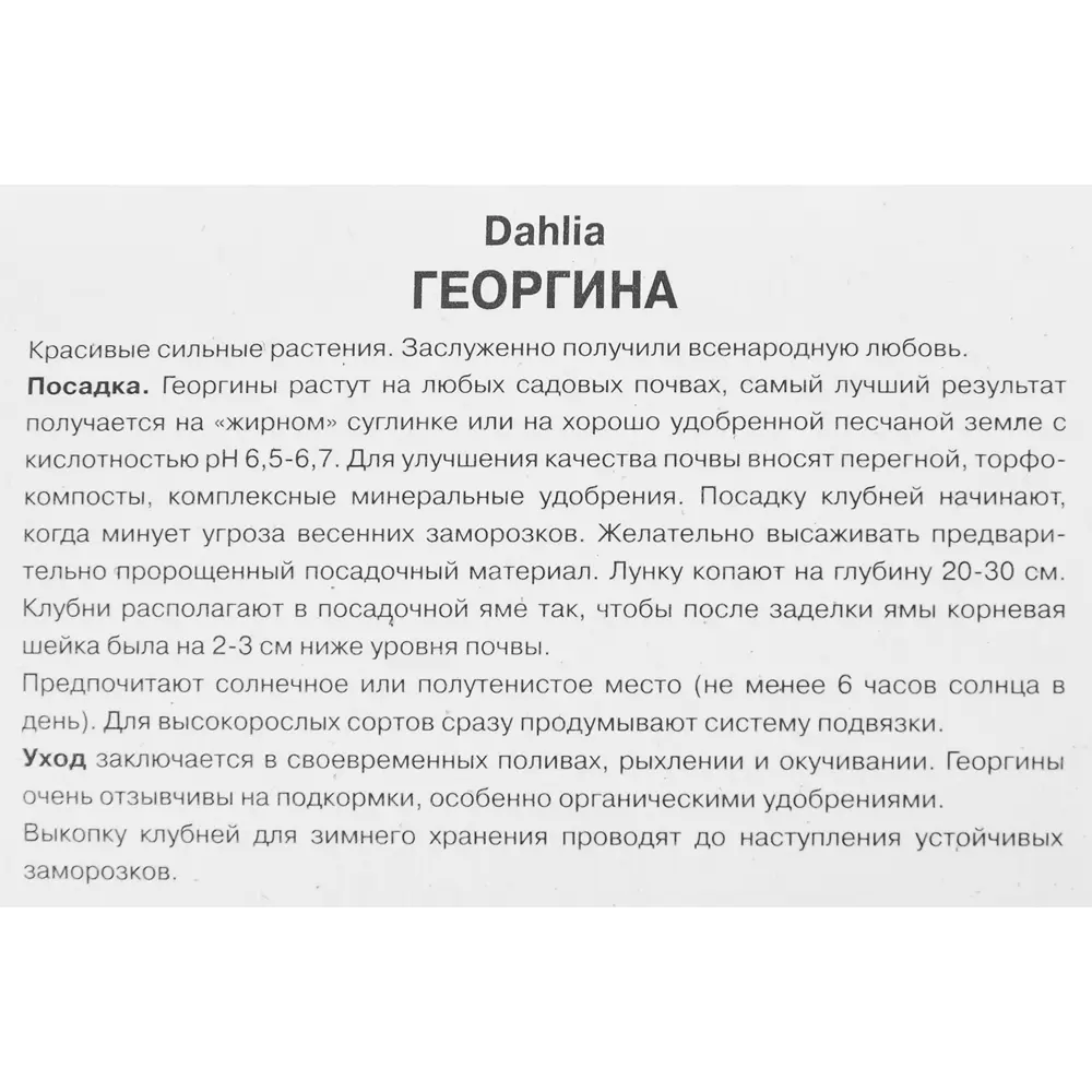Георгина декоративная Блу Берд 86409980 STLM-2199802 ПОИСК  - Вид №2