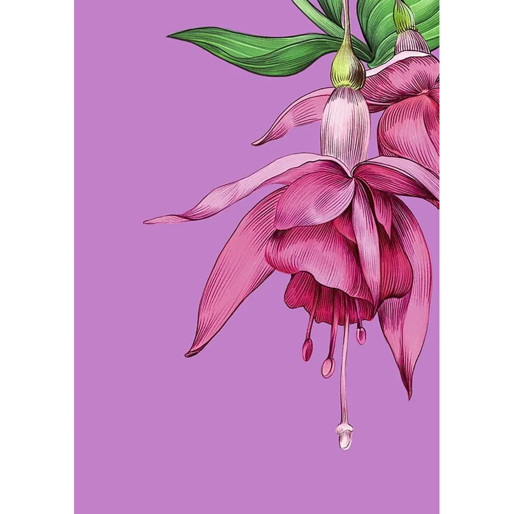 Постер Флора 21x29.7 см 2 шт АРТ ДИЗАЙН STLM-2210403 - Вид №2