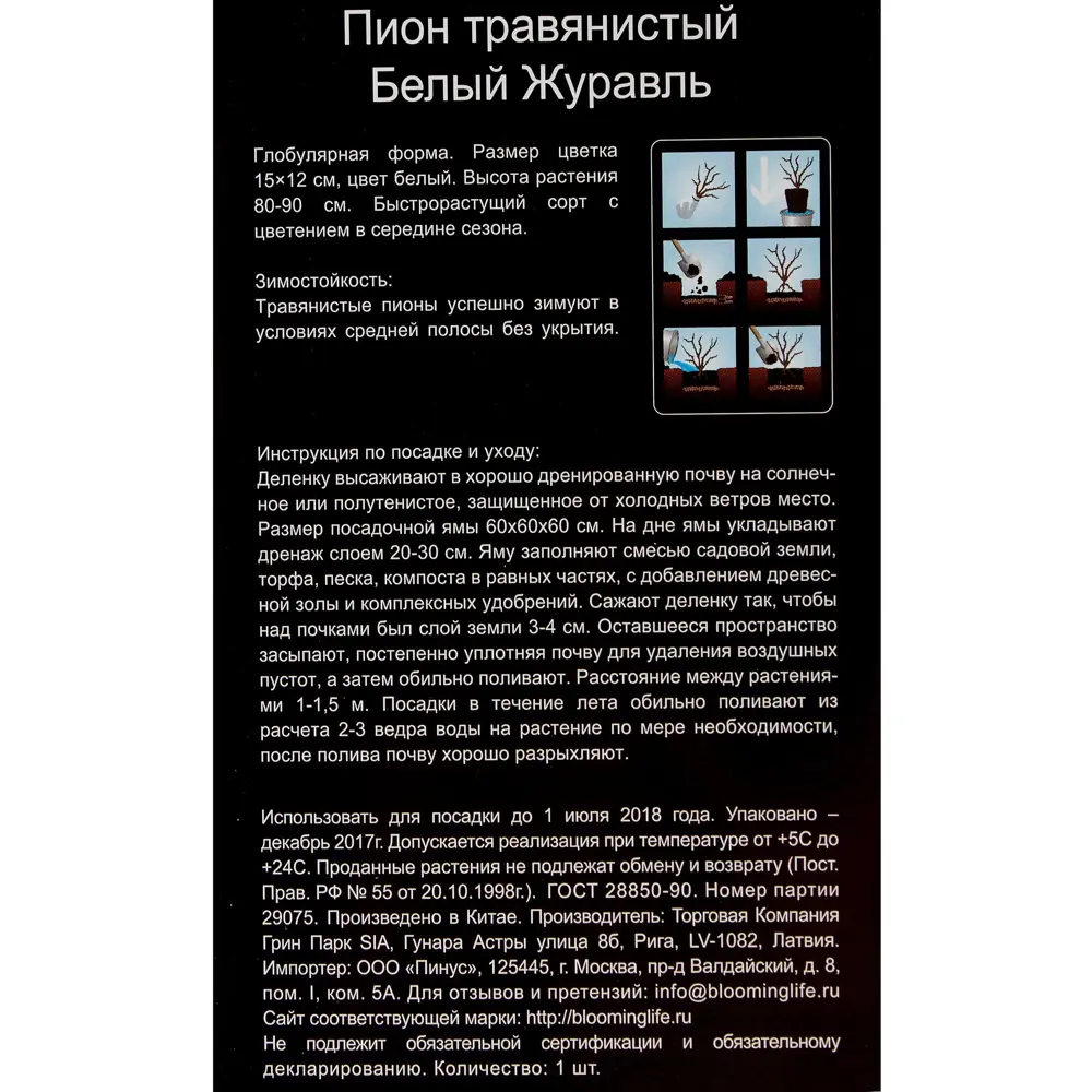 Пион травянистый «Белый Журавль» (в тубе) 81948483 STLM-2119336 Santreyd  - Вид №2