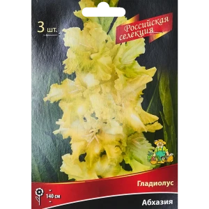Гладиолус Абхазия, 3 шт 86410056 STLM-2192675