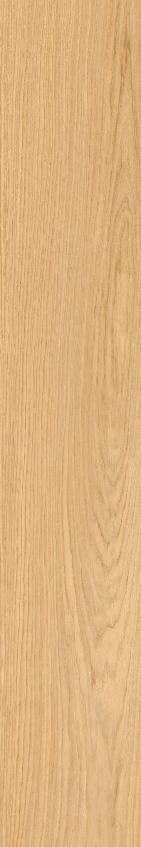 Пол из глазурованной керамогранита под дерево Ceramica Rondine DREAM ARCH-00032803 - Вид №16