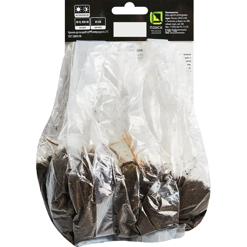 Хоста гибридная Глед Рэгс ПОИСК STLM-2039258 - Вид №1