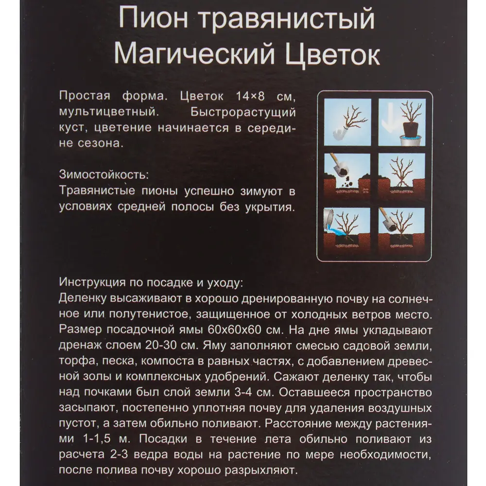 Пион травянистый «Магический цветок» (в тубе) 81948486 STLM-2181228 Santreyd  - Вид №2