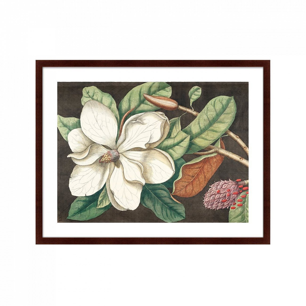 Картина в деревянной раме 78,5х100 см Beauty bloom №1, 1732г. КАРТИНЫ В КВАРТИРУ  264205 Белый;зеленый;разноцветный  - Вид №1