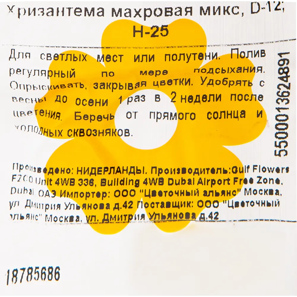 Хризантема индийская микс d12 h30 18785686 STLM-2174779 Santreyd  - Вид №2