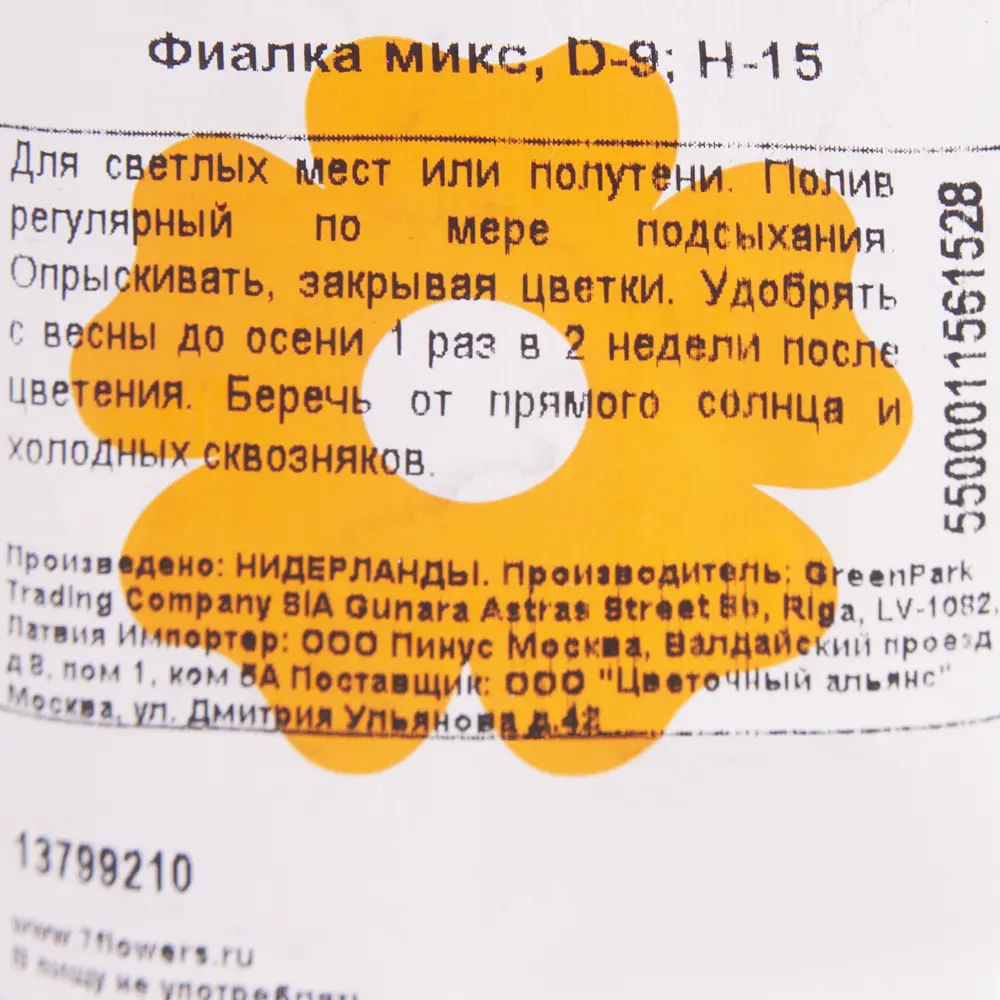 Фиалка микс 9х15 см 13799210 STLM-2208298 Santreyd  - Вид №2