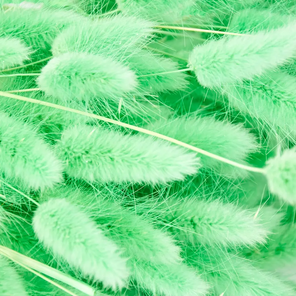 Букет из сухих цветов Лагурус микс 2 70 см Santreyd STLM-2185331 - Вид №4