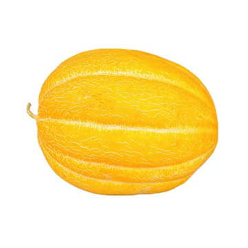 Дыня Эфиопка ~2,5 кг Santreyd 23670