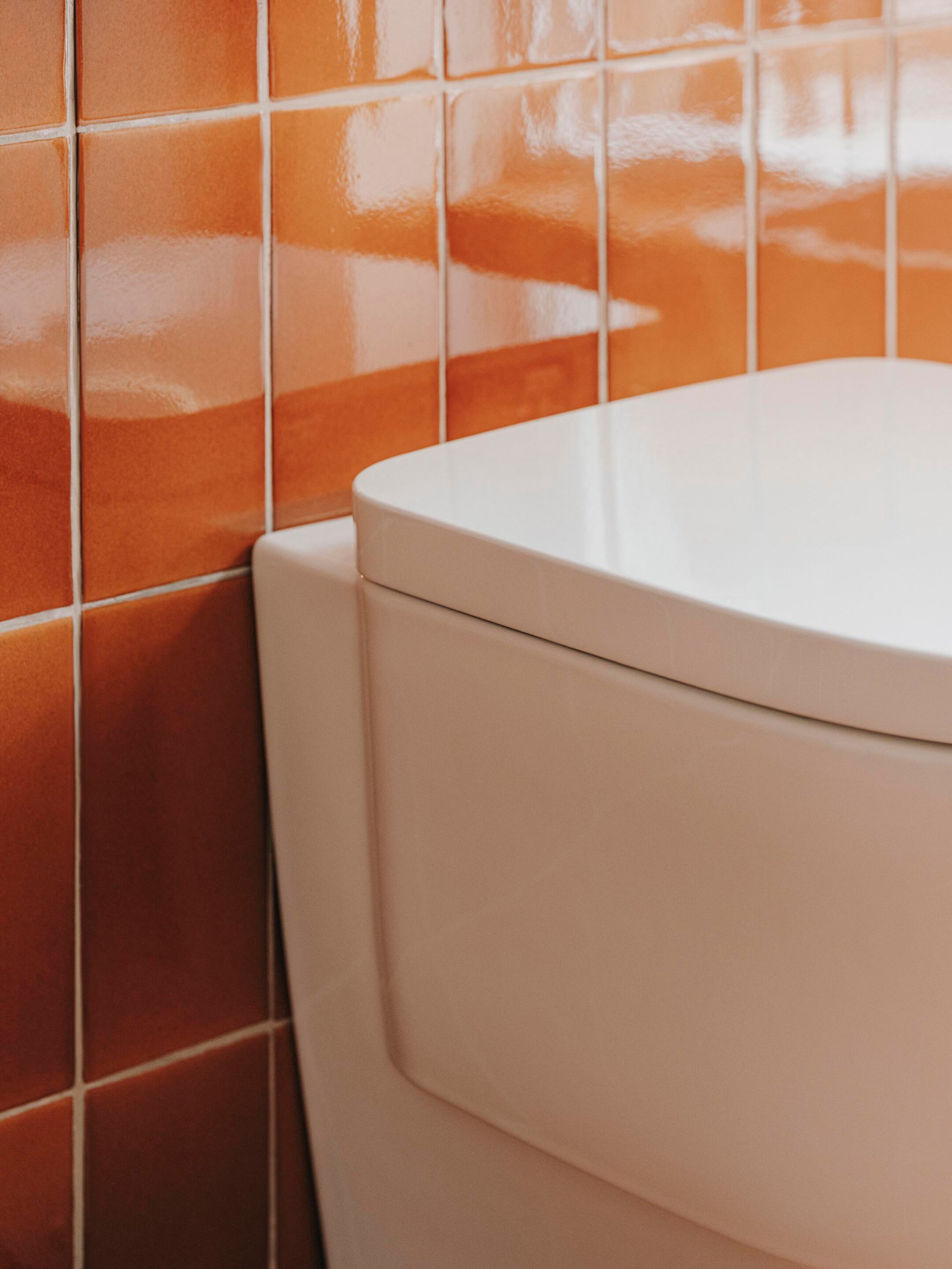 Мягкое пластиковое сиденье для унитаза Roca TURA 801F02..2 ARCH-00057327 - Вид №4